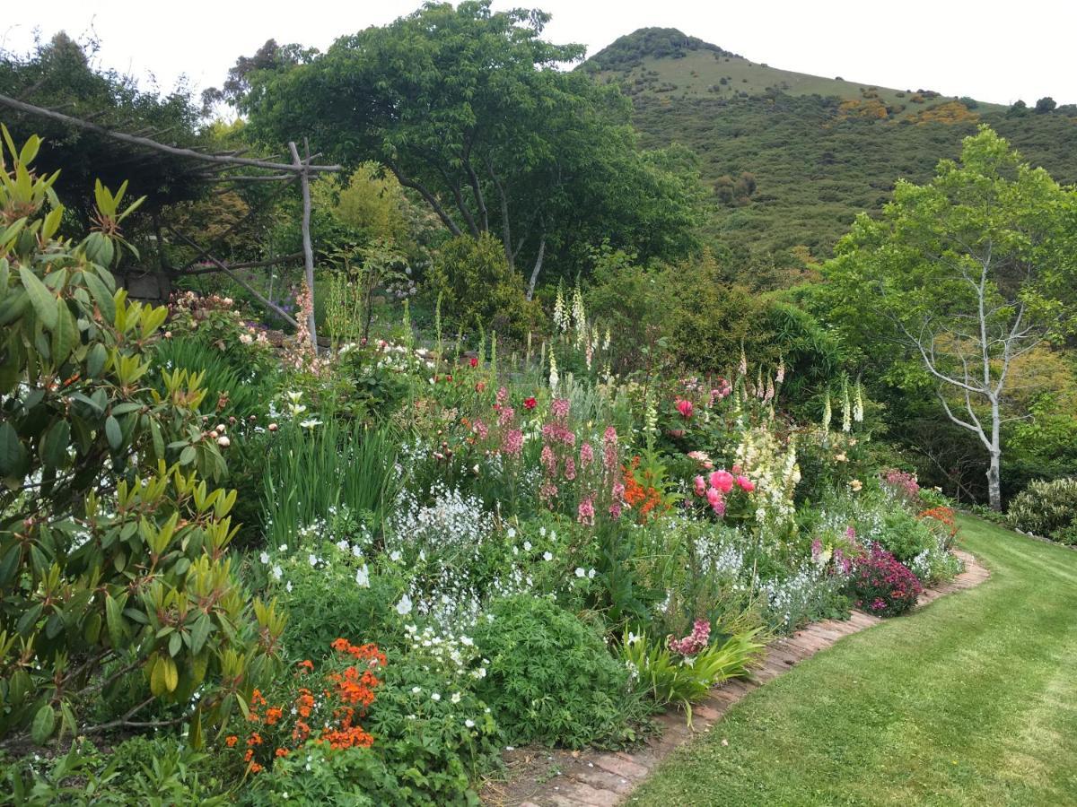Hereweka Garden Retreat Dunedin Exteriör bild
